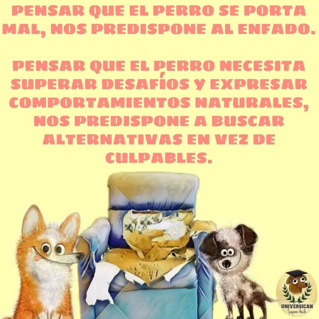 Convivencia