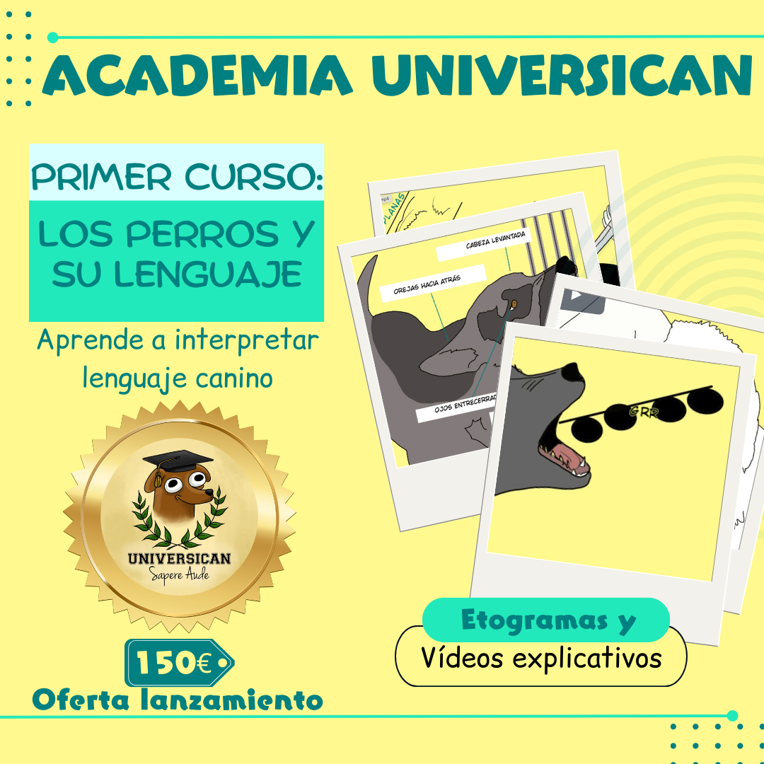 Academia Universican. El primer curso "Lenguaje canino" tiene una tarifa de 150 euros, está compuesto por etogramas y vídeos.