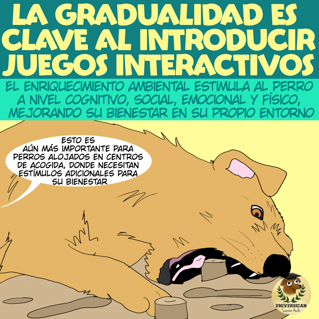 Perro interactuando con un juego de enriquecimiento ambiental, que estimula su mente y promueve su bienestar emocional y cognitivo.