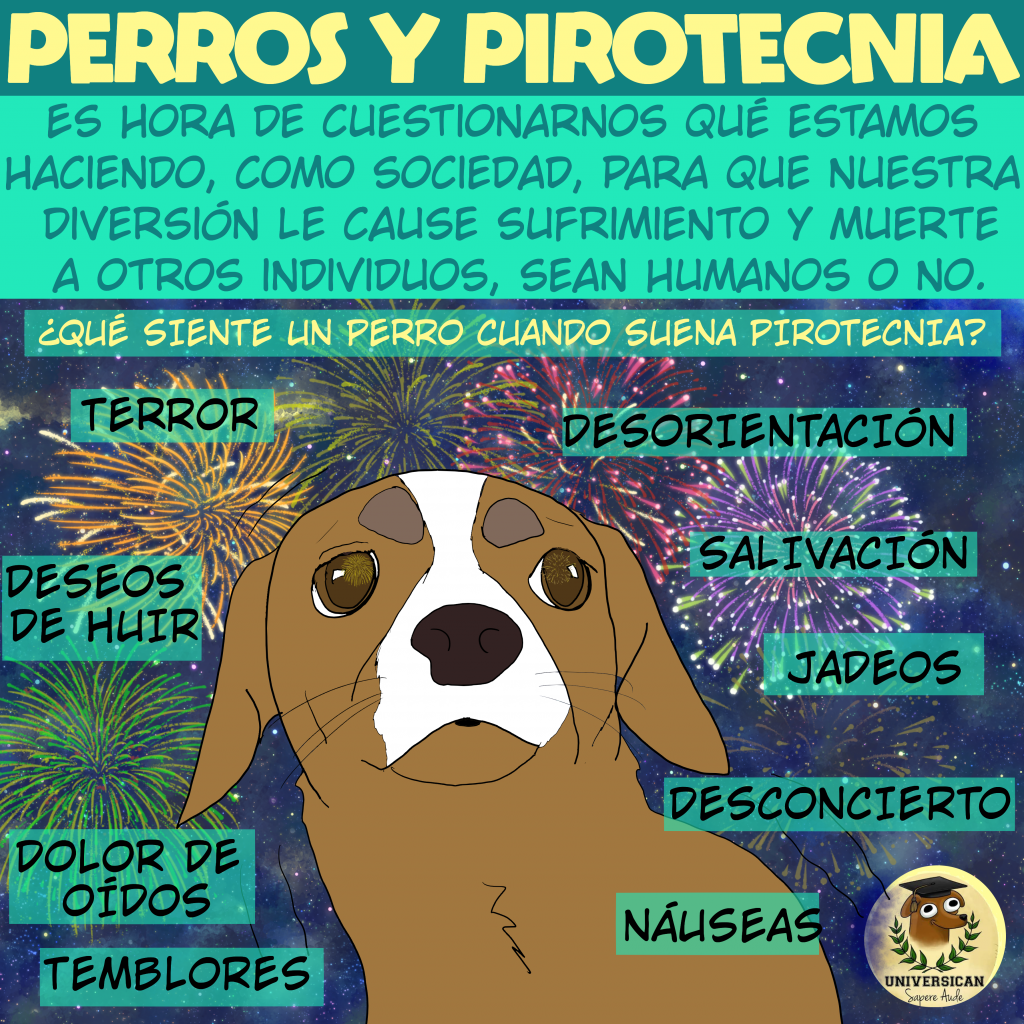 Perro con expresión de miedo mientras se observan fuegos artificiales en el fondo