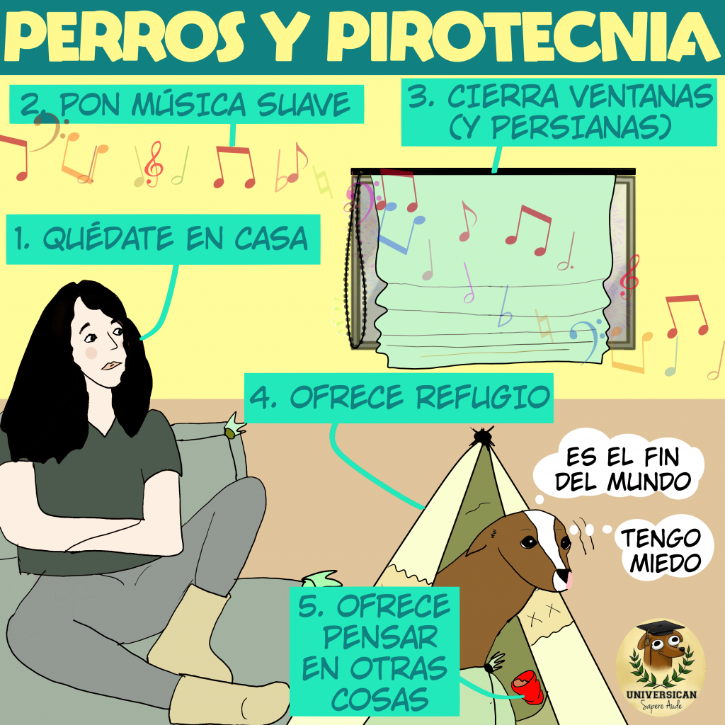 Perro con expresión de miedo mientras se observan fuegos artificiales en el fondo, siendo acompañado por su tutora humana.