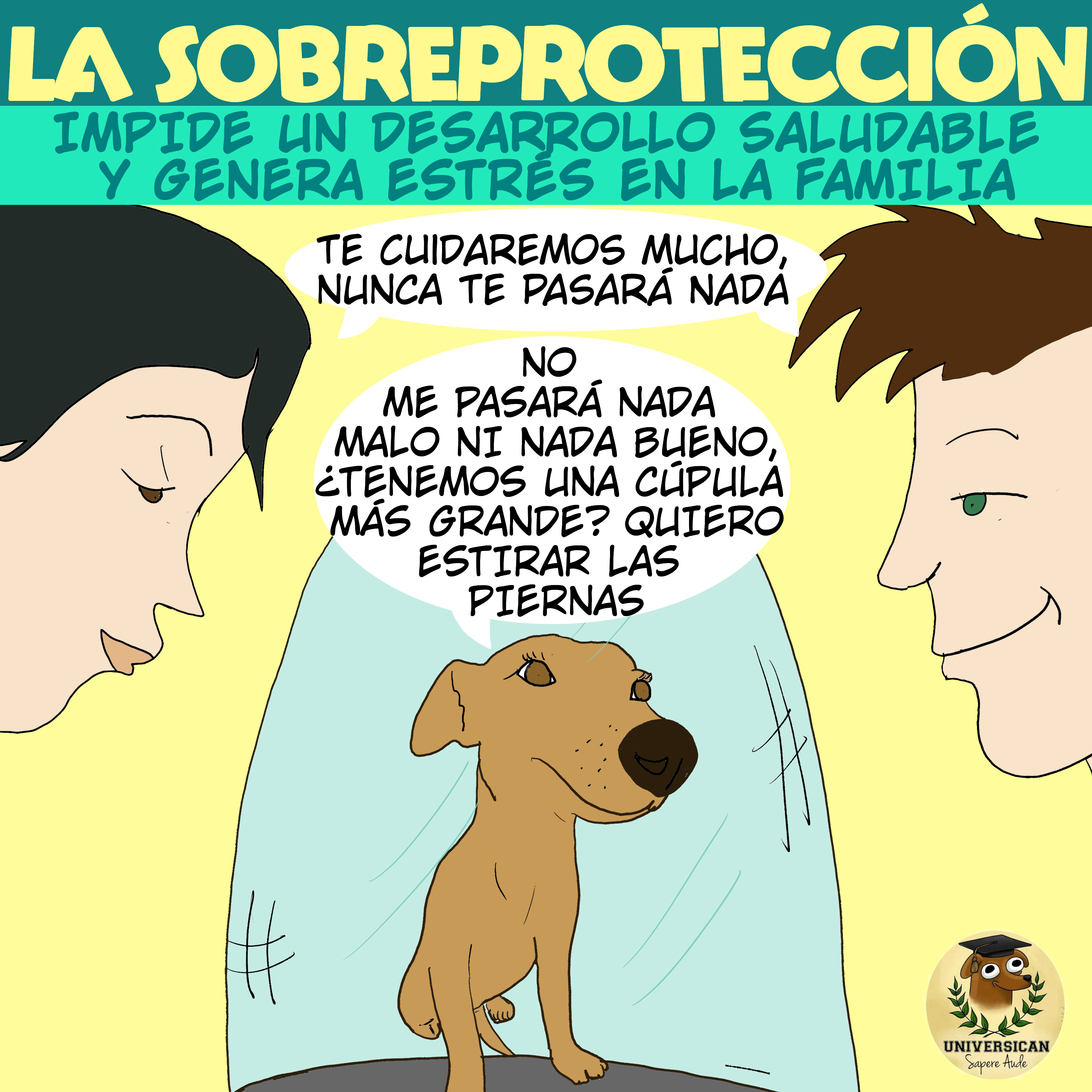 sobreprotección a perros