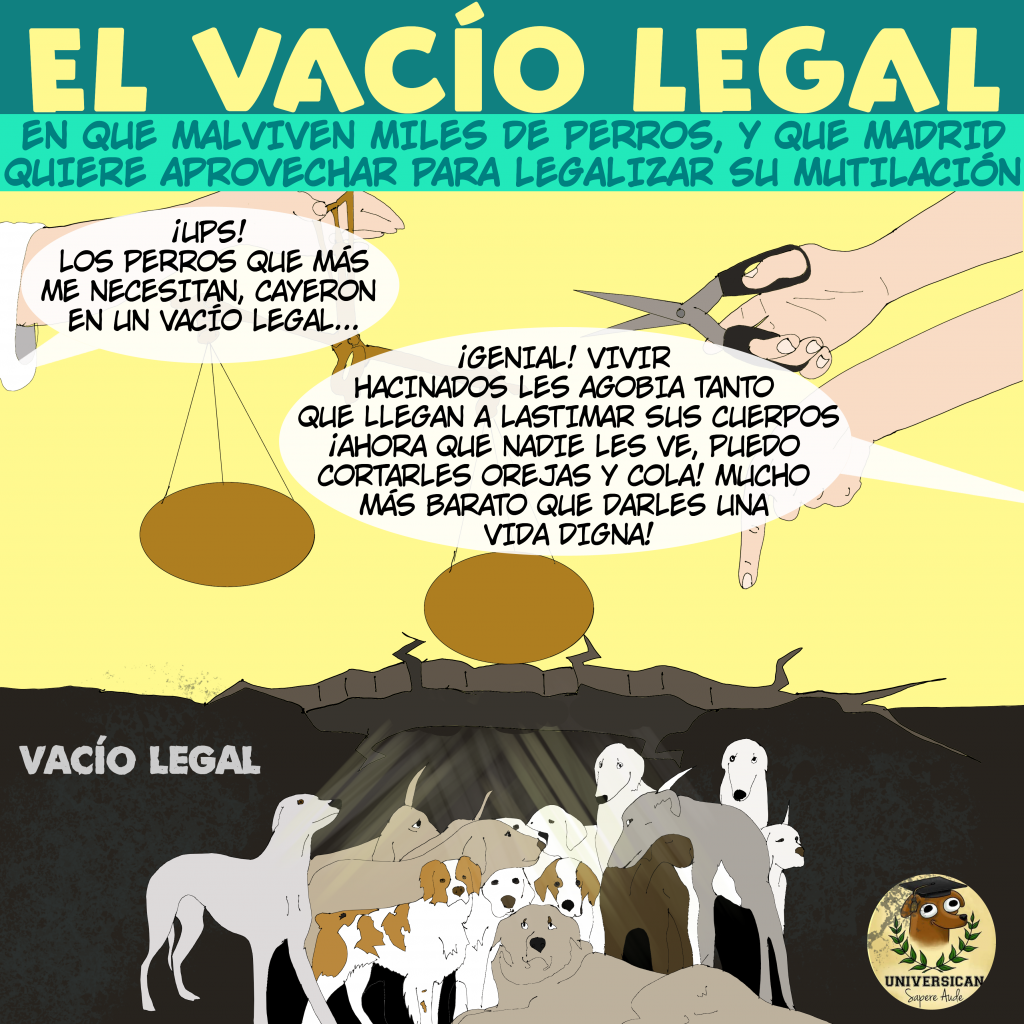 El vacio legal en que malviven los perros de caza