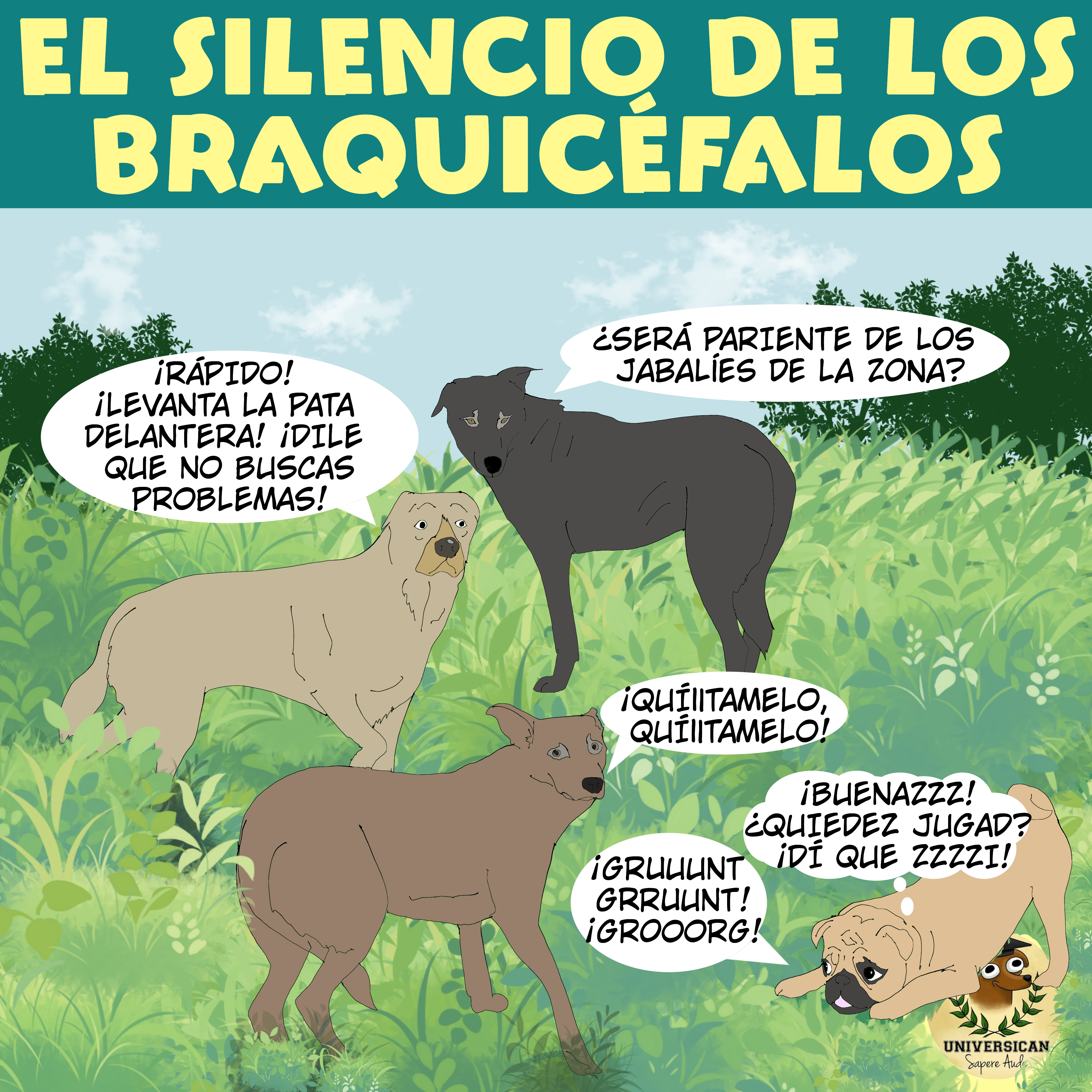 La imagen muestra una ilustración titulada "El silencio de los braquicéfalos". En ella, aparecen cuatro perros de diferentes razas en un entorno natural con vegetación. Cada perro tiene un globo de diálogo con diferentes frases en español. El perro de color beige claro dice: "¡Rápido! ¡Levanta la pata delantera! ¡Dile que no buscas problemas!". El perro de color gris oscuro pregunta: "¿Será pariente de los jabalíes de la zona?". El perro marrón claro exclama: "¡Quítamelo, quítamelo!". Finalmente, el perro de color beige oscuro, que está acostado, dice: "¡Buenazzz! ¿Quiedez jugad? ¡Di que zzzz!". En la esquina inferior derecha, se puede ver el logo de Universican