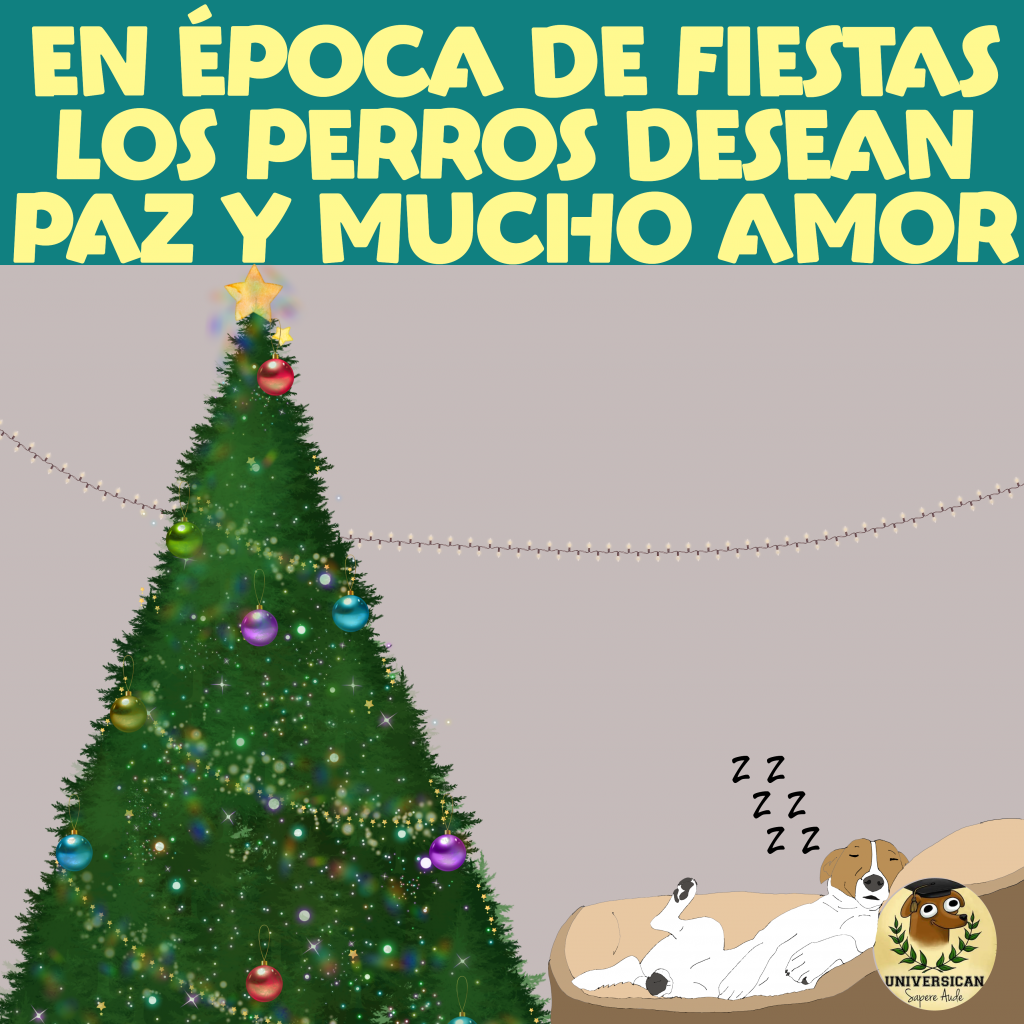 Perro durmiendo junto a un árbol navideño, destacando la necesidad de paz y amor para los perros en estas fiestas