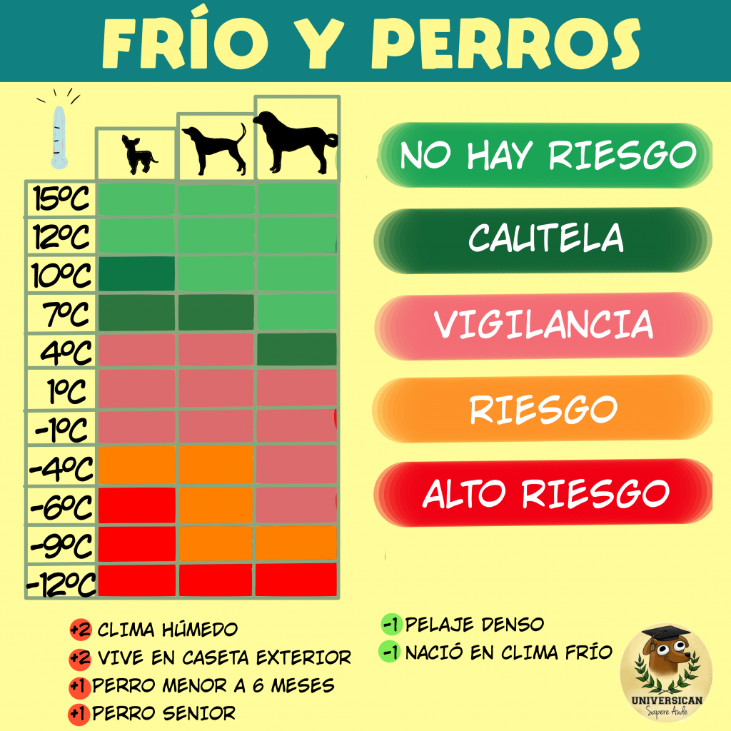 Cuadro que ilustra los riesgos del frío para los perros, clasificados por temperatura y tamaño del perro, con indicaciones de cuándo hay riesgo y cuándo es necesario ser cauteloso.