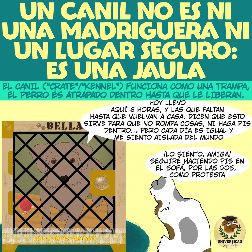 Una perra triste encerrada en un crate, mirando hacia fuera mientras habla con una gata compadeciéndose de su situación. Llama la atención sobre las largas horas de aislamiento y el impacto emocional que este tipo de confinamiento puede causar a los perros.