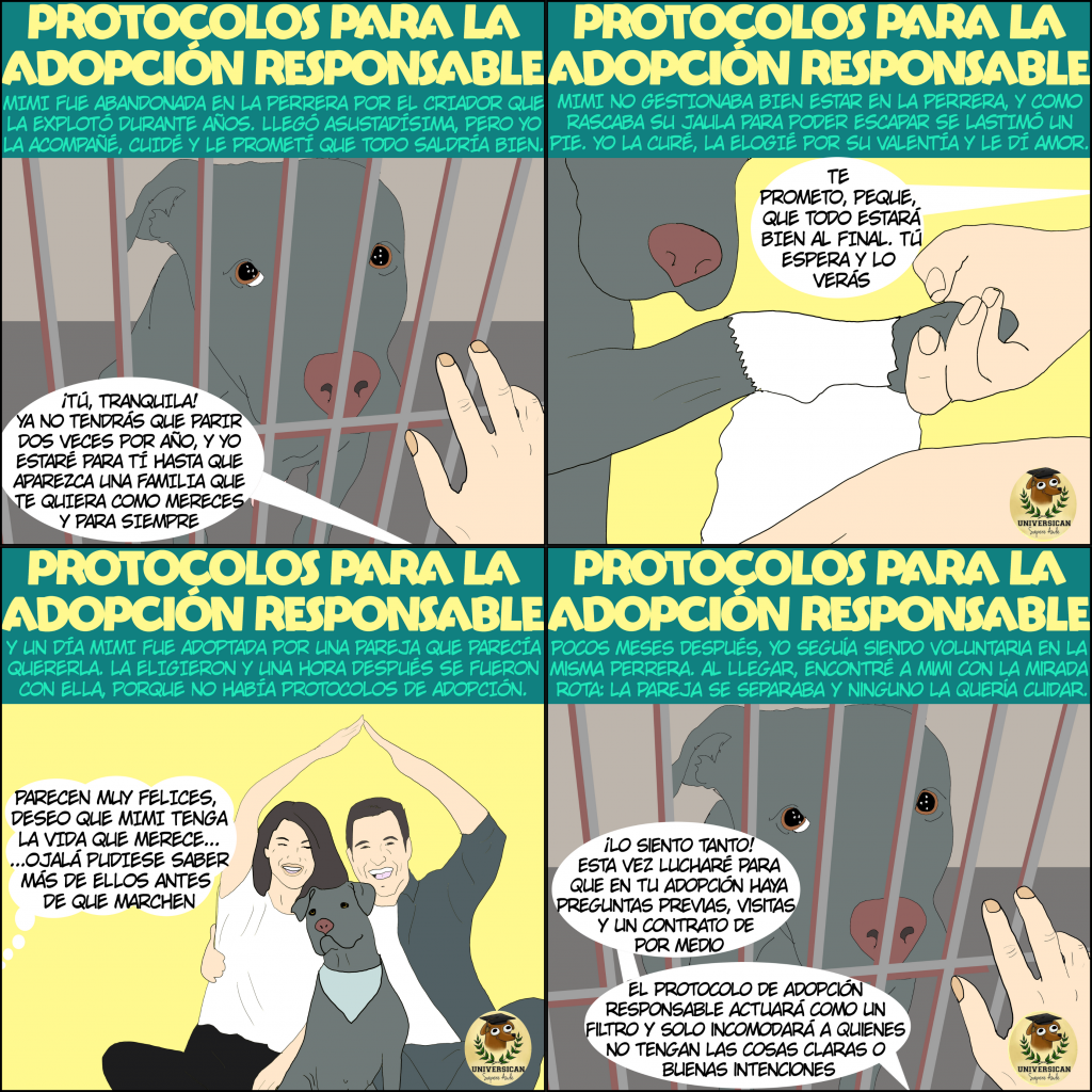 un cómic de 4 viñetas que cuenta la historia de Mimi, una perra que fue abandonada por un criador en la perrera, luego adoptada por una pareja, y luego abandonada nuevamente. Explicando así las necesidades