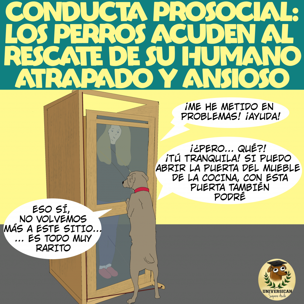 Dibujo de un humano atrapado en una caja con puerta y un perro intentando ayudar.