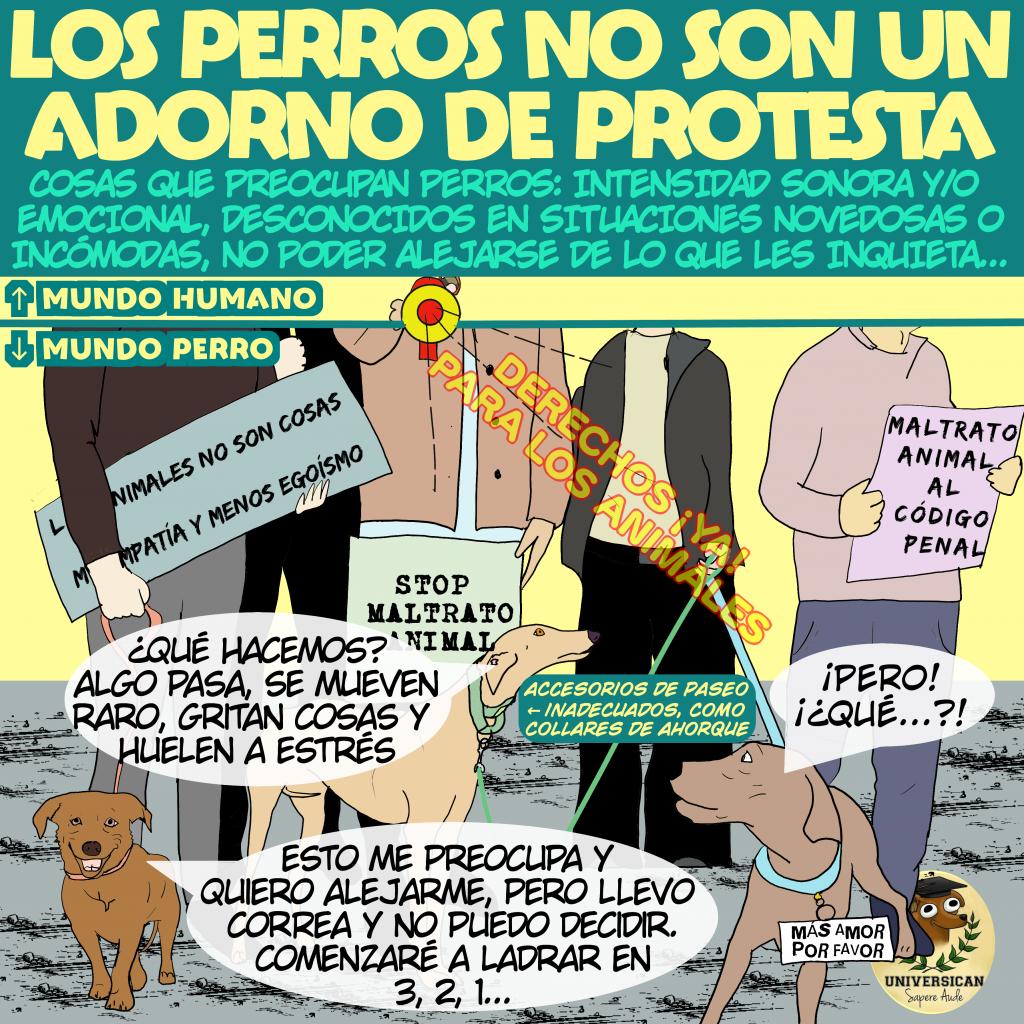 Perros asustados entre la muchedumbre que se manifiesta y grita consignas.