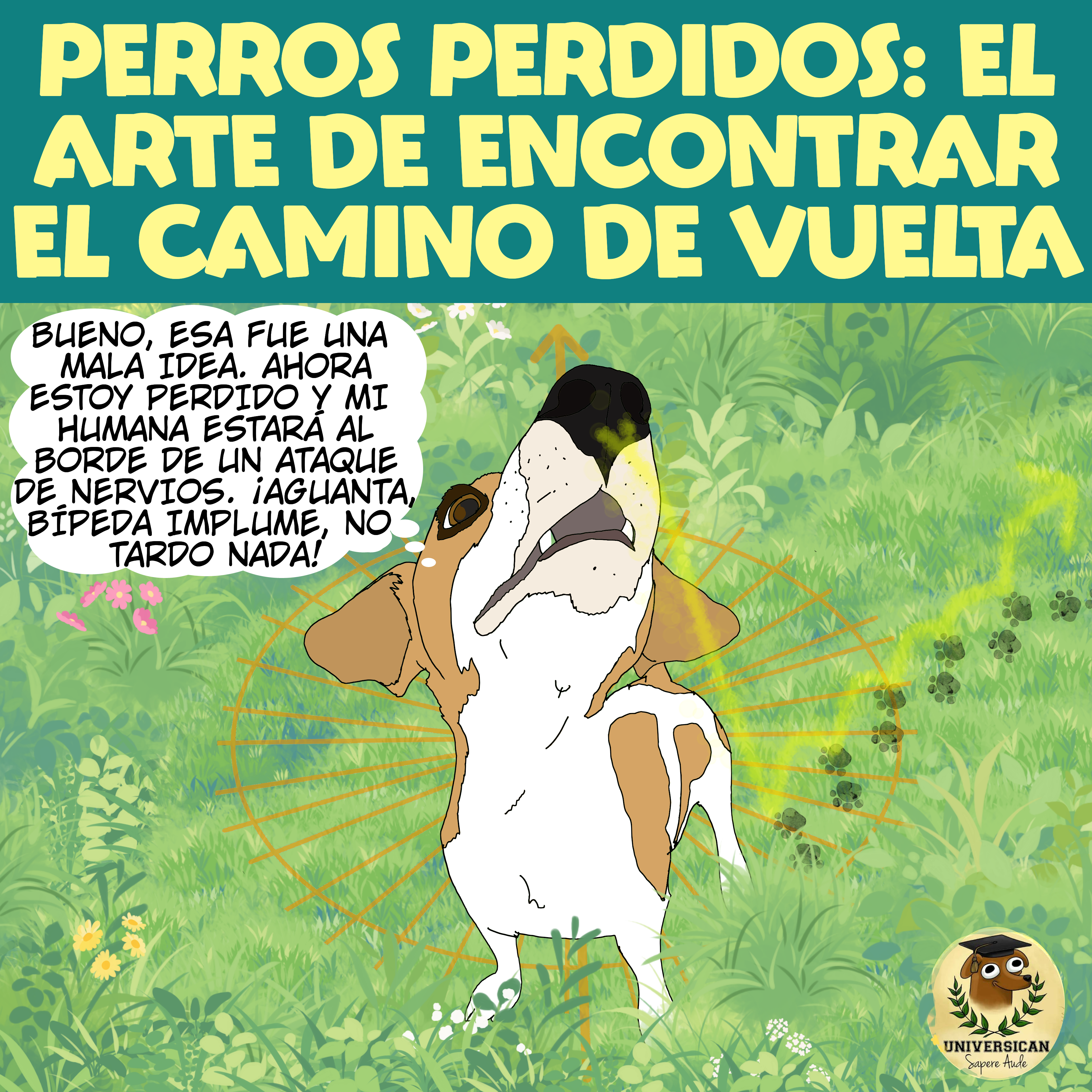 Perro oliendo al aire y utilizando el campo magnético de la Tierra para orientarse, ilustrando cómo los perros pueden encontrar su camino de regreso a casa.