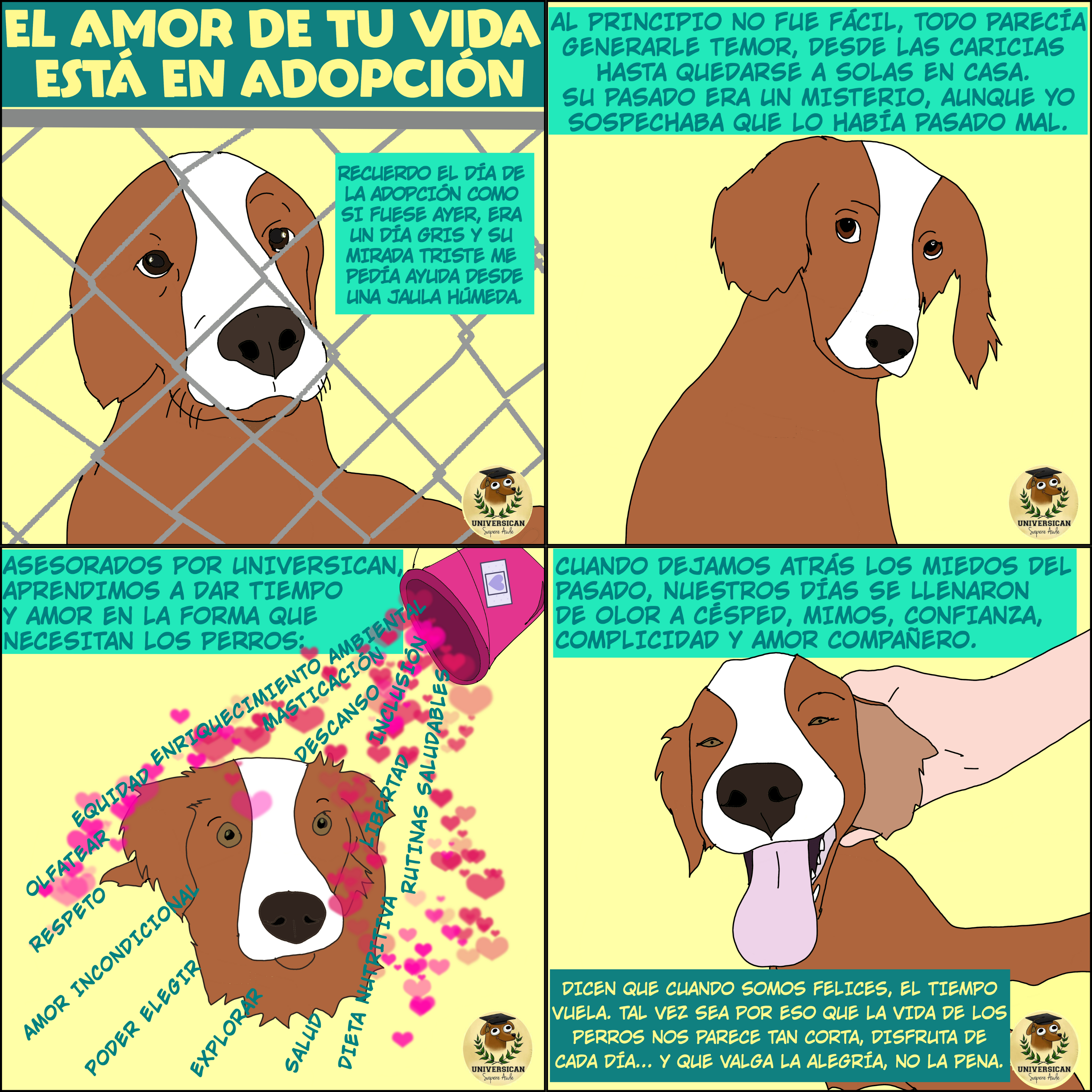 La historia de la adopción de un perro que estaba en la perrera, y acompañado por su humano y buenos profesionales pudo superar sus miedos para ser feliz.