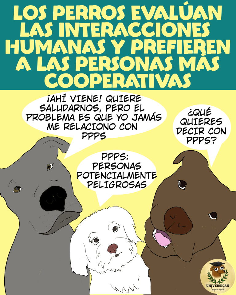 Perros evaluando la actitud de una persona.