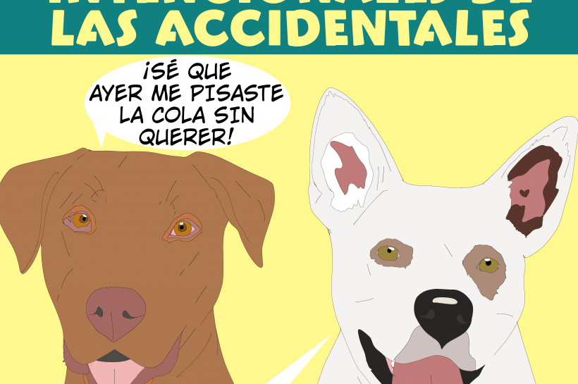Dos perros aclaran que saben que su humano es torpe, y que les ha pisado la cola sin querer.
