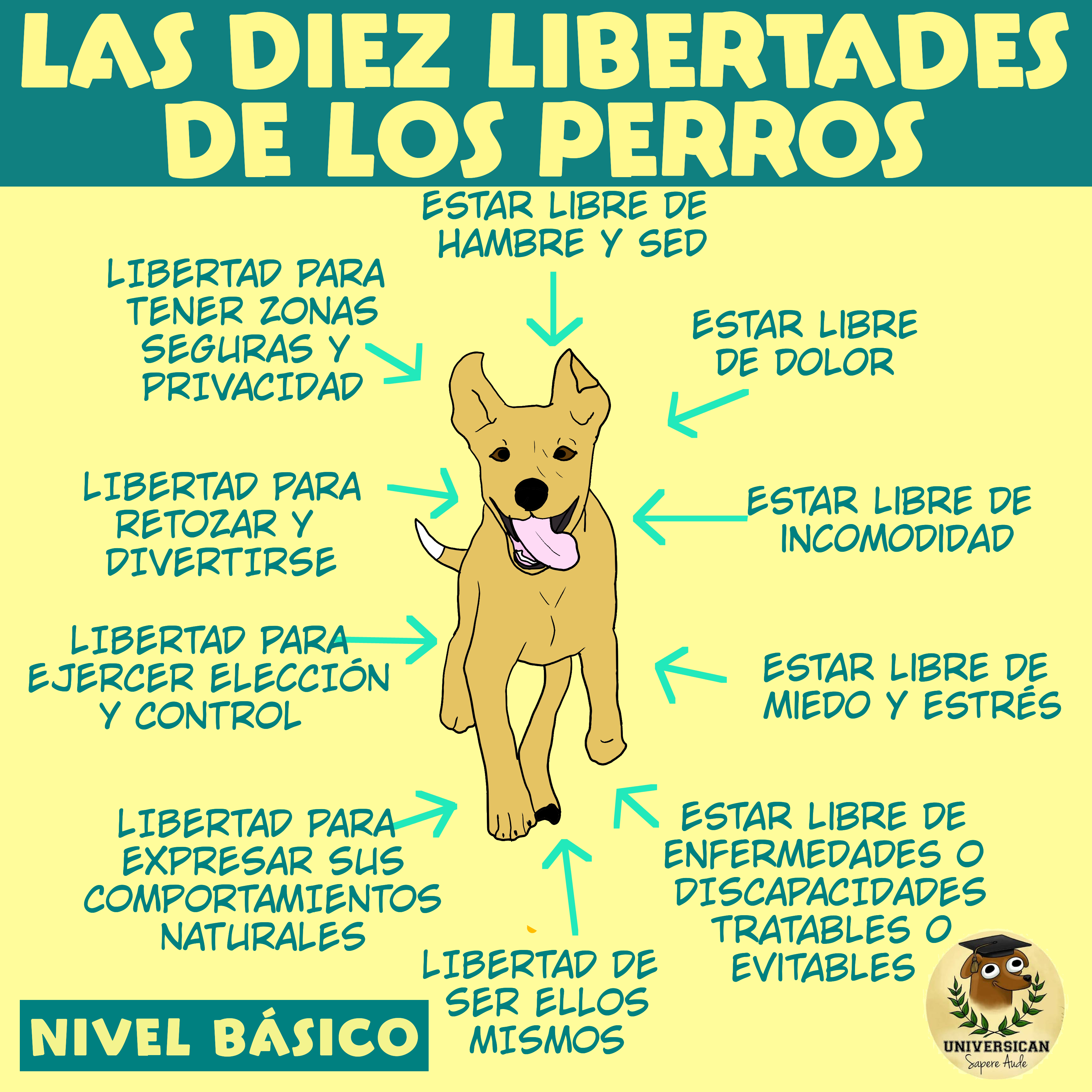 Un gráfico que explica las libertades básicas de los perros, como estar libre de hambre y sed.