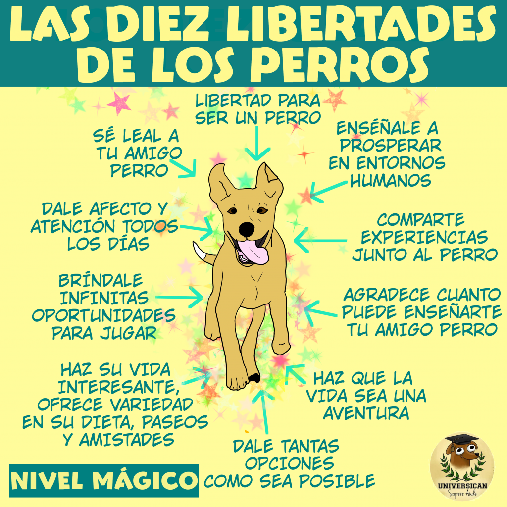 Un gráfico que explica las libertades mágicas de los perros, como tener opciones, amor y oportunidades.