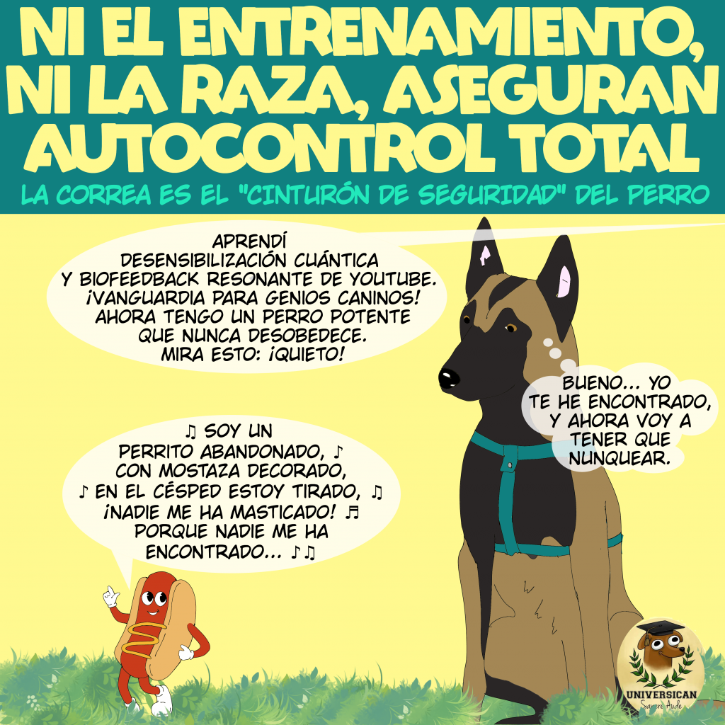 Una persona le dice a su amigo que su perro es "super obediente" y demuestra la orden "¡Quieto!" mientras el perro permanece inmóvil. Sin embargo, el perro está mirando un perrito caliente en el césped, que en su mente está antropomorfizado, cantando alegremente "¡Nadie me ha comido!" El perro observa atentamente al "perrito caliente", pensando en salir corriendo para "atraparlo" y comérselo, completamente distraído de la orden.