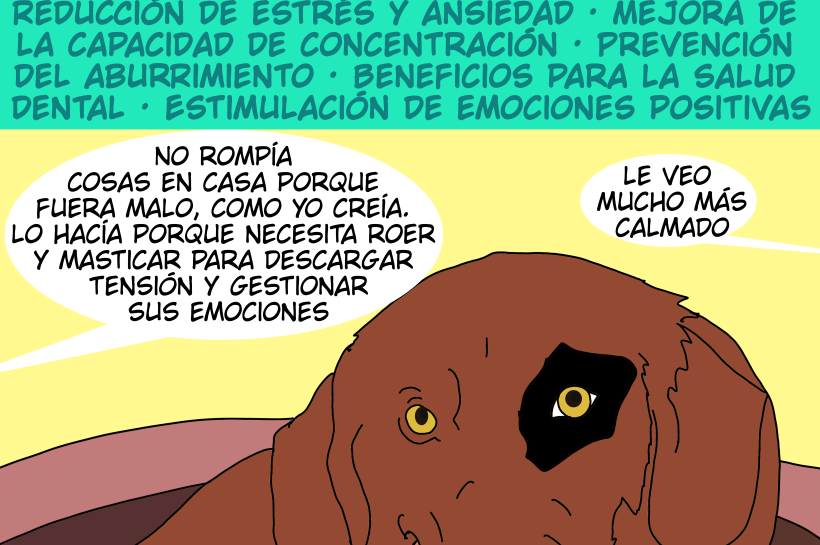 La masticación es un ejercicio que favorece el bienestar del perro.