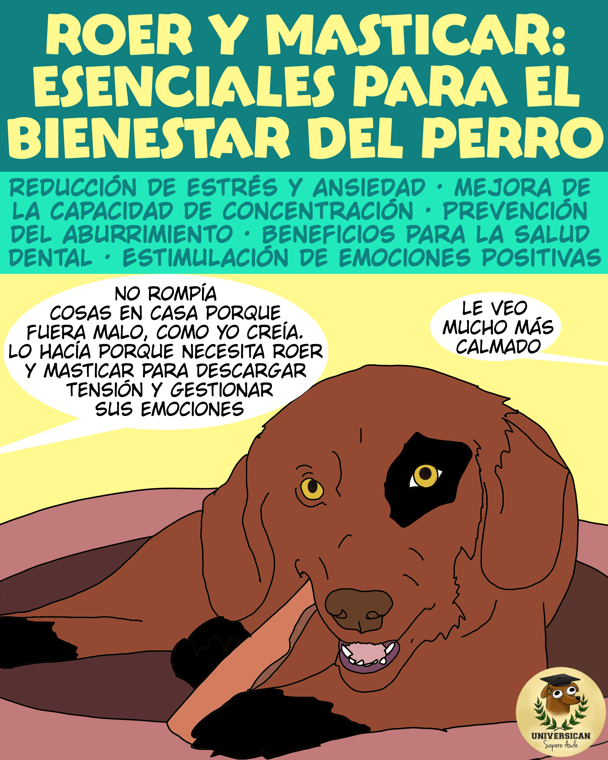 La masticación es un ejercicio que favorece el bienestar del perro.