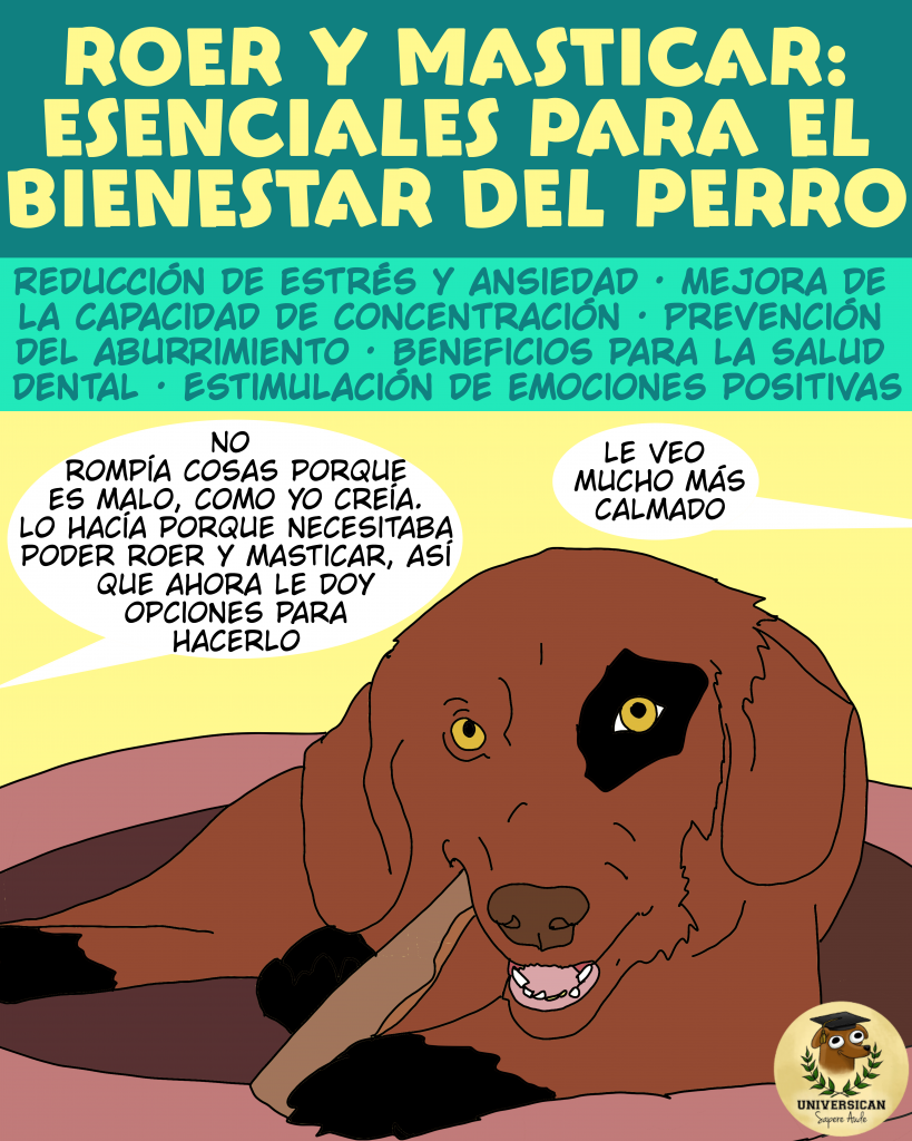 Un perro mastica un hueso, mientras una persona de fondo dice que el perro no es malo como ella creía, lo que pasaba era que el perro necesitaba poder roer y masticar.