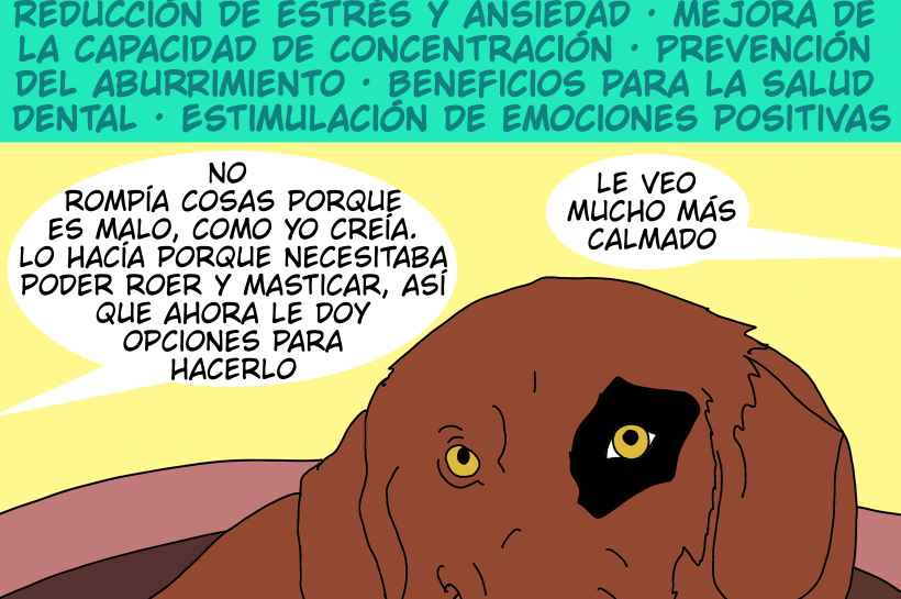 Un perro mastica un hueso, mientras una persona de fondo dice que el perro no es malo como ella creía, lo que pasaba era que el perro necesitaba poder roer y masticar.