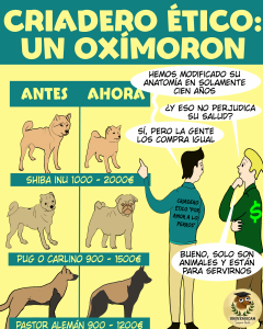 Dos criadores contando cómo han modificado las razas de perros en solamente cien años, y que aunque afecte a su raza la gente los compra igual. Al fondo se pueden ver los precios de distintas razas y cómo se veían antes y hoy.