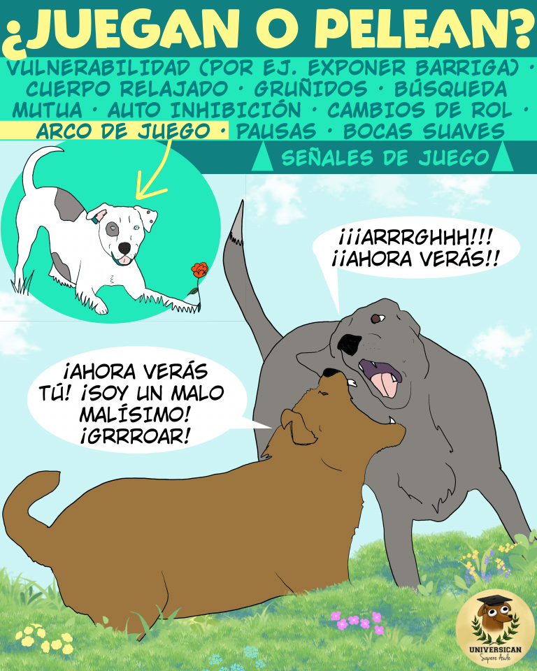 Ilustración de dos perros jugando, mostrando el arco de juego y las señales de interacción durante el juego canino.