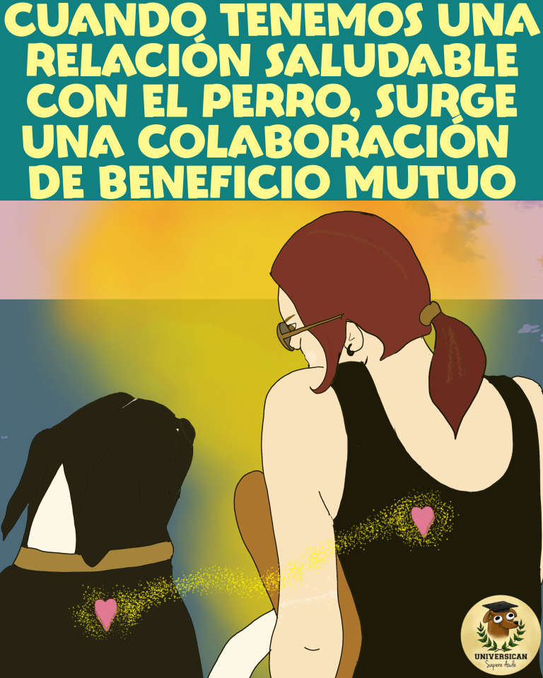 Una mujer y un perro se miran a los ojos frente a una puesta de sol sobre el mar, reflejando una conexión mutua y respetuosa.