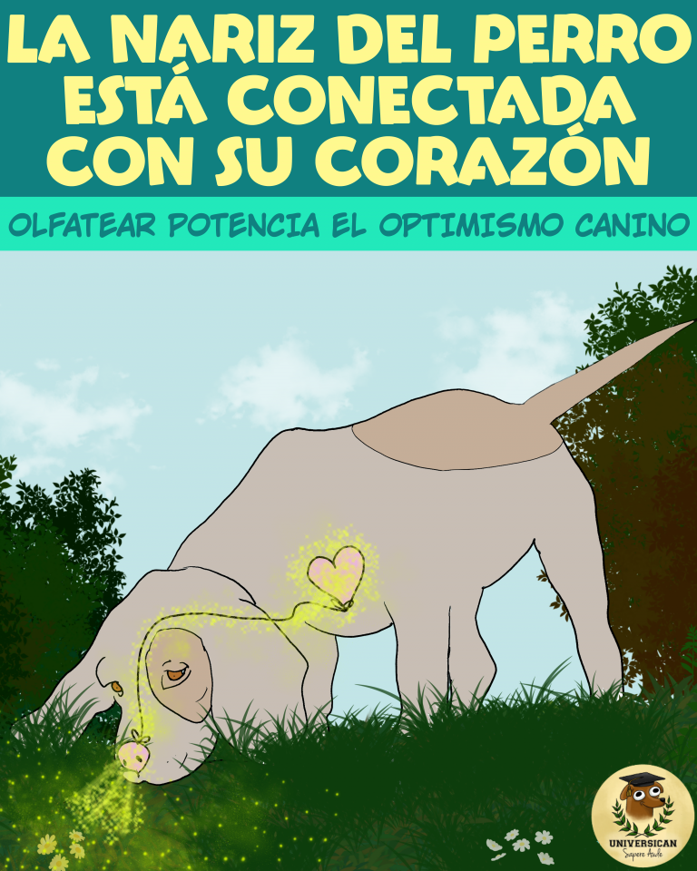 Un perro olfatea, y su corazón se enciende. El título: La nariz del perro está conectada con su corazón.