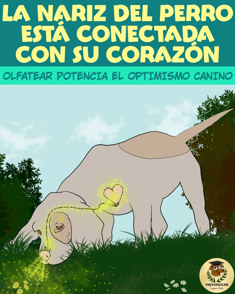 Olfatear Un perro olfatea, y su corazón se enciende. El título: La nariz del perro está conectada con su corazón.