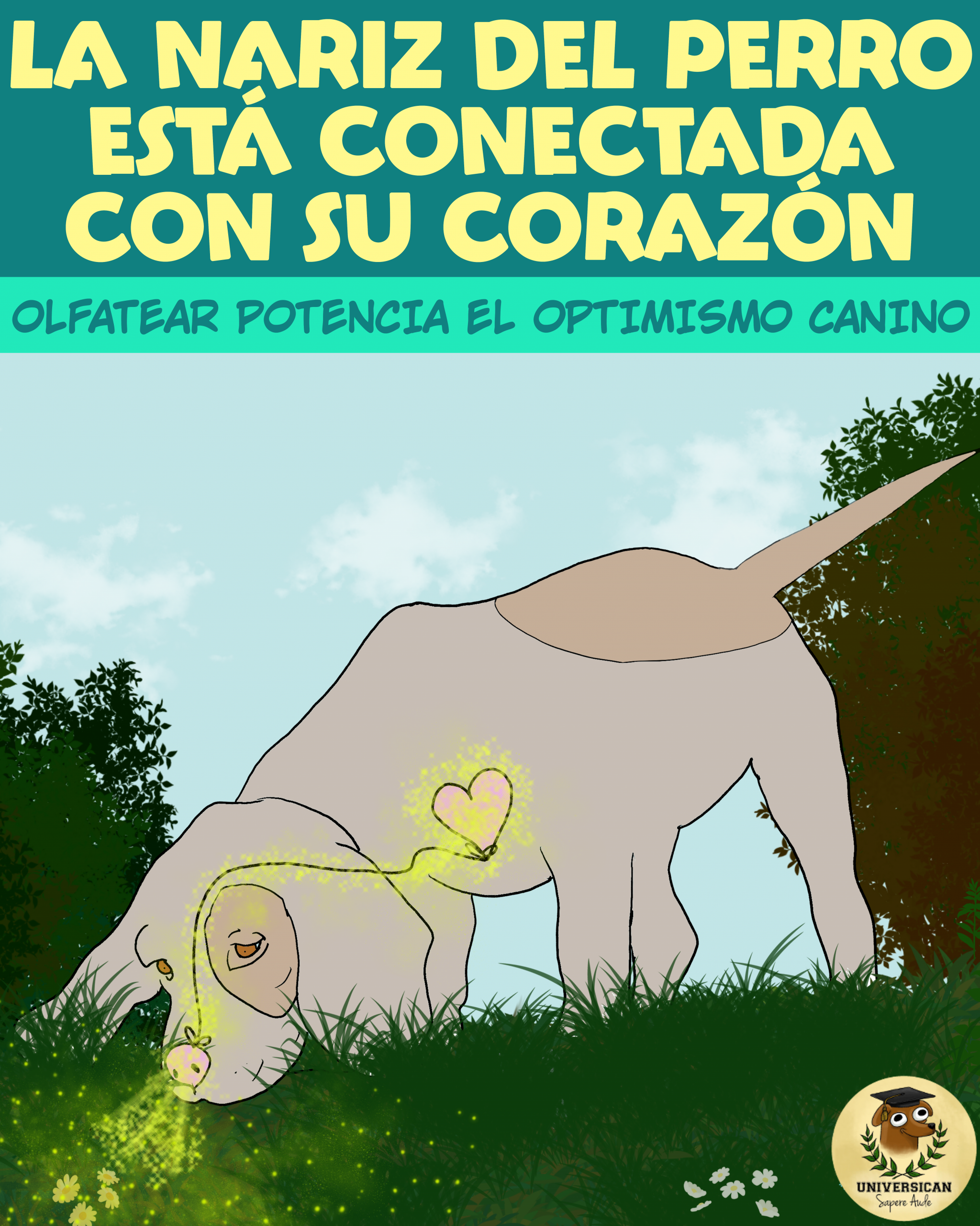 Un perro olfatea, y su corazón se enciende. El título: La nariz del perro está conectada con su corazón.