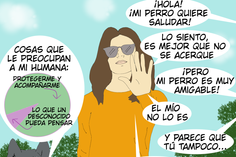 El dibujo muestra a una mujer con su perro rechazando la interacción entre su perro y una persona que pide acercarse para jugar. La persona se ofende ante el "no", mientras que el perro reflexiona sobre cómo su humana prioriza su bienestar por encima de las opiniones de desconocidos.
