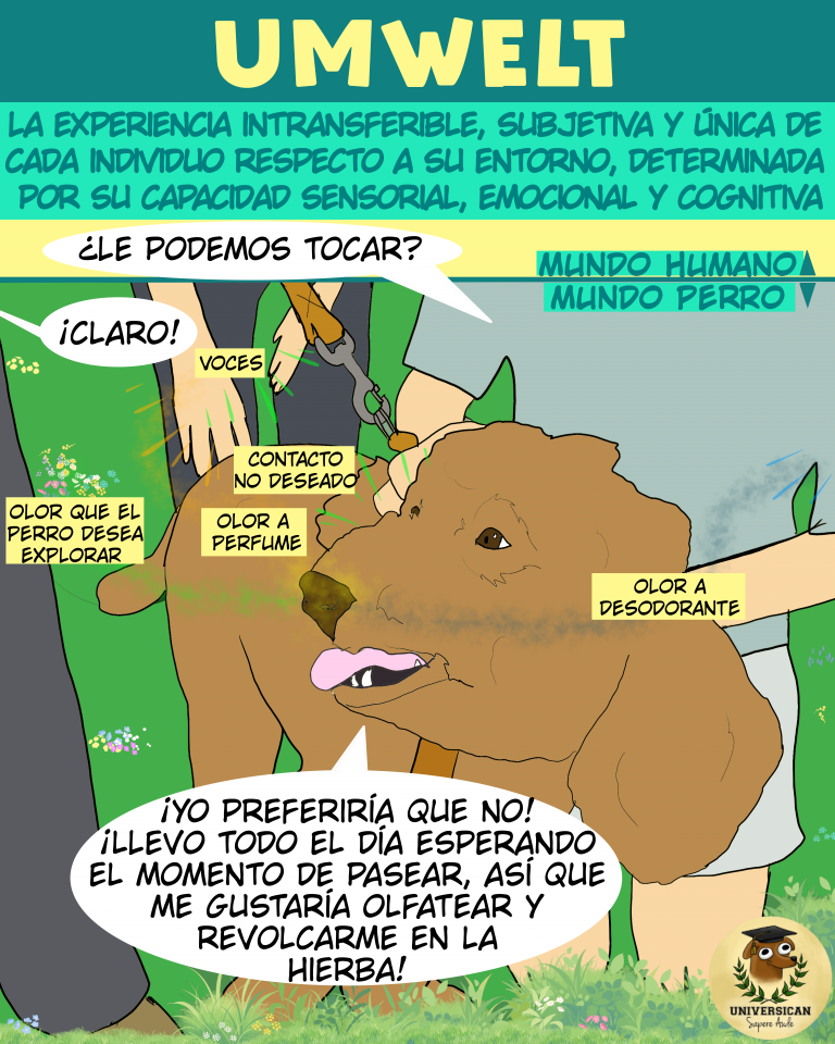 Ilustración que muestra la experiencia sensorial de un perro durante su paseo, destacando su Umwelt y cómo percibe estímulos del entorno.