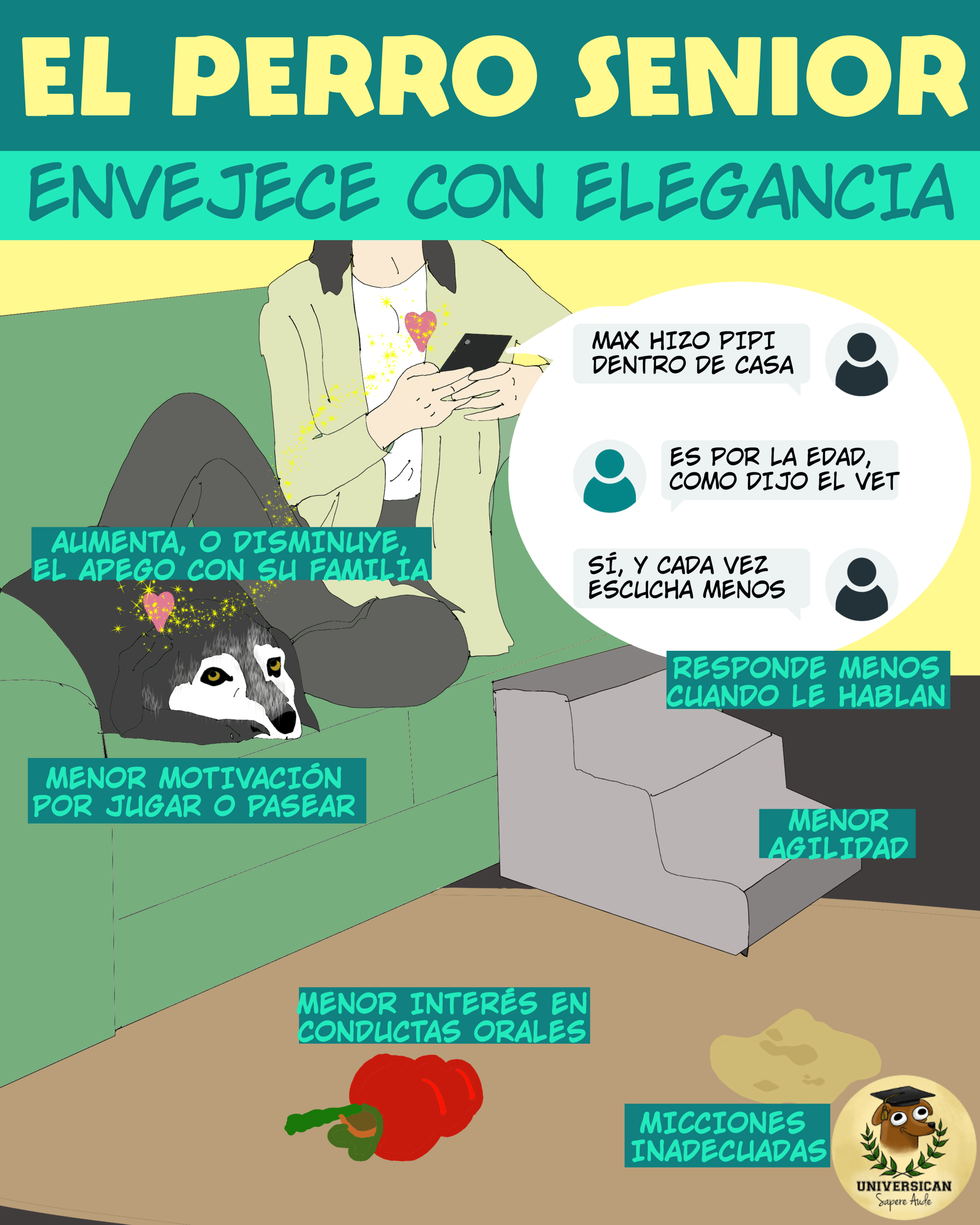 Señales de que el perro está envejeciendo con elegancia.