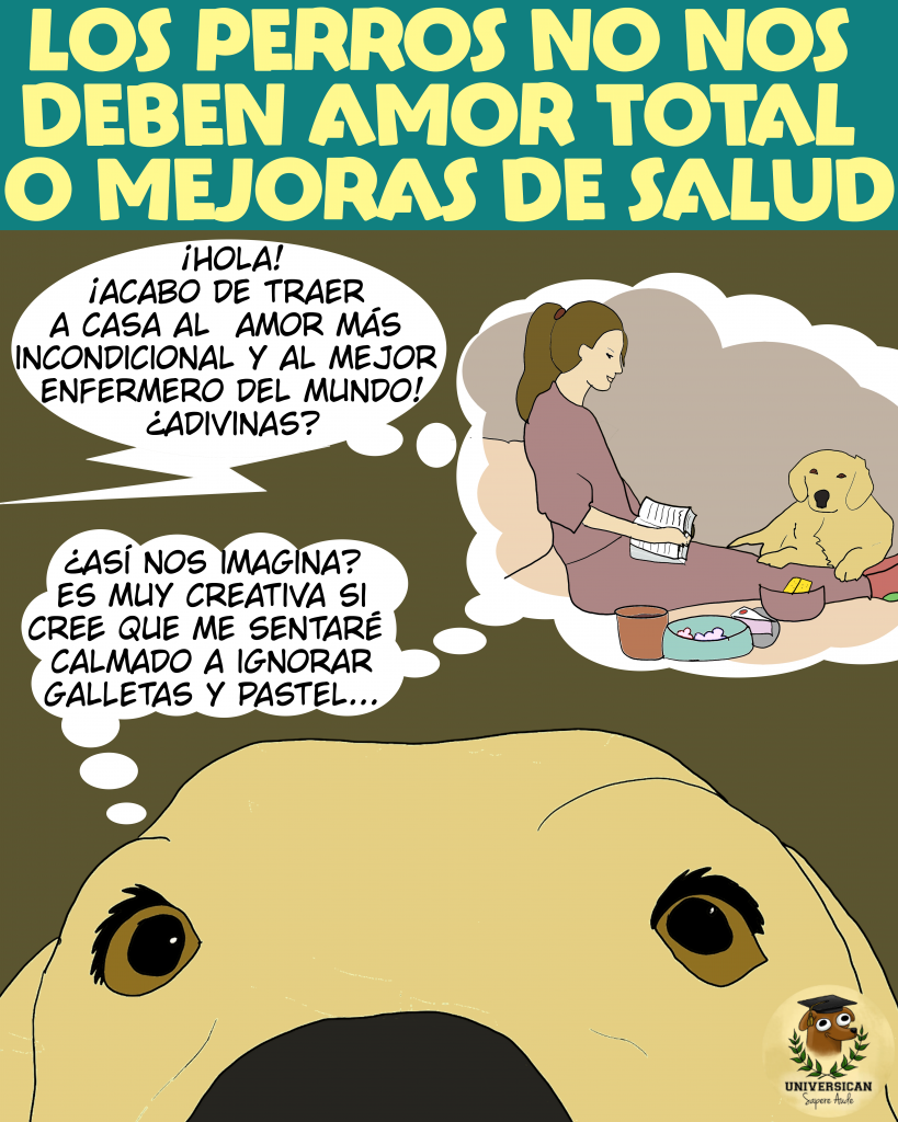 Los perros no nos deben nada Un perro escucha a su humana hablar sobre lo que espera de él: amor incondicional y cuidados en su salud. El perro parece reflexionar, mostrando que no cree poder cumplir con esas expectativas tan altas.
