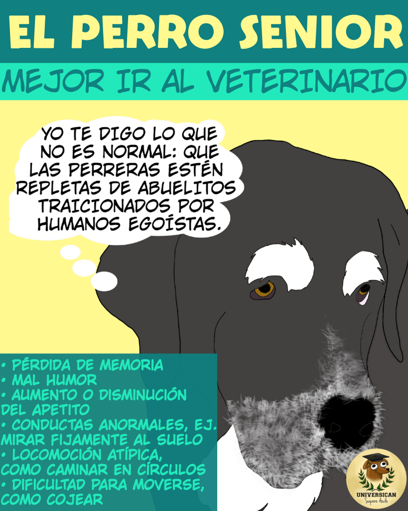 Señales de que es mejor ir a consulta en la clínica veterinaria.