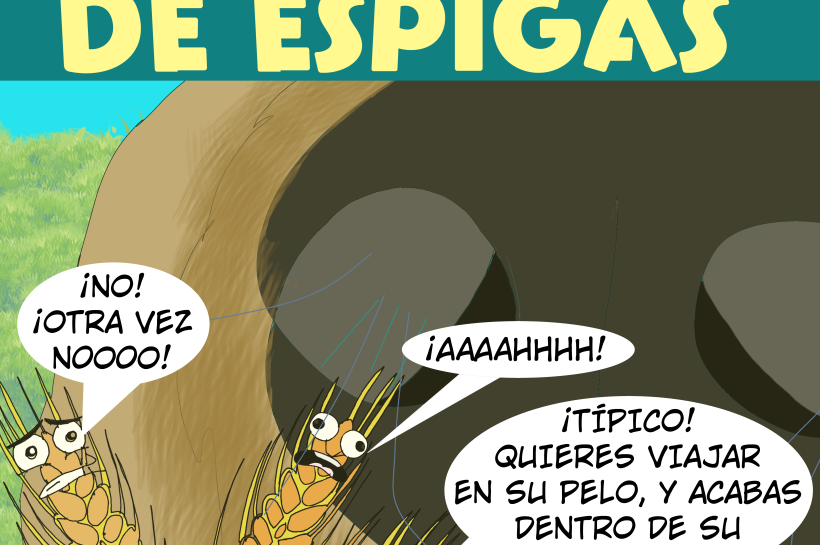 Alerta, espigas