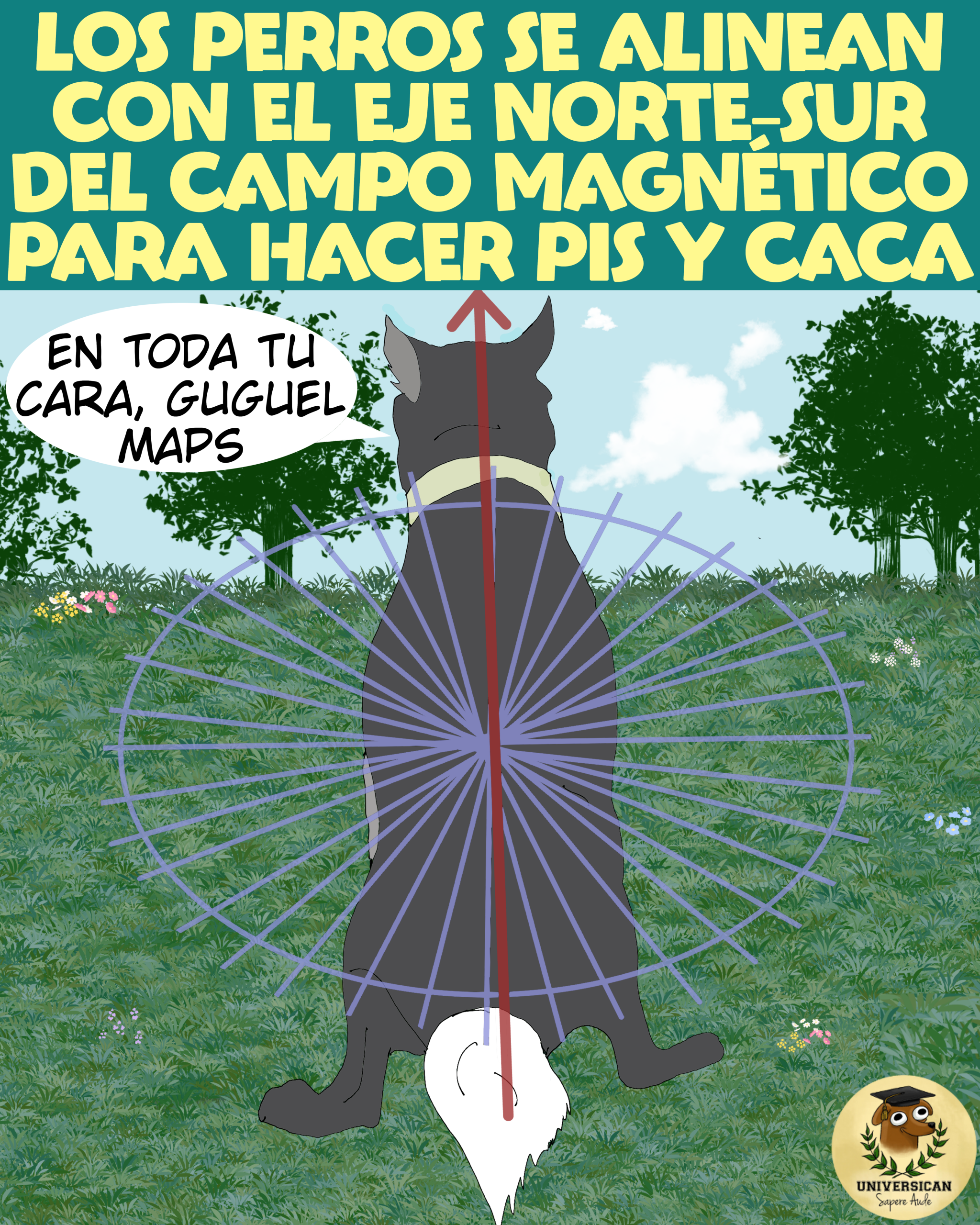 Perro alinéandose con el eje norte sur del campo magnético para hacer sus necesidades.