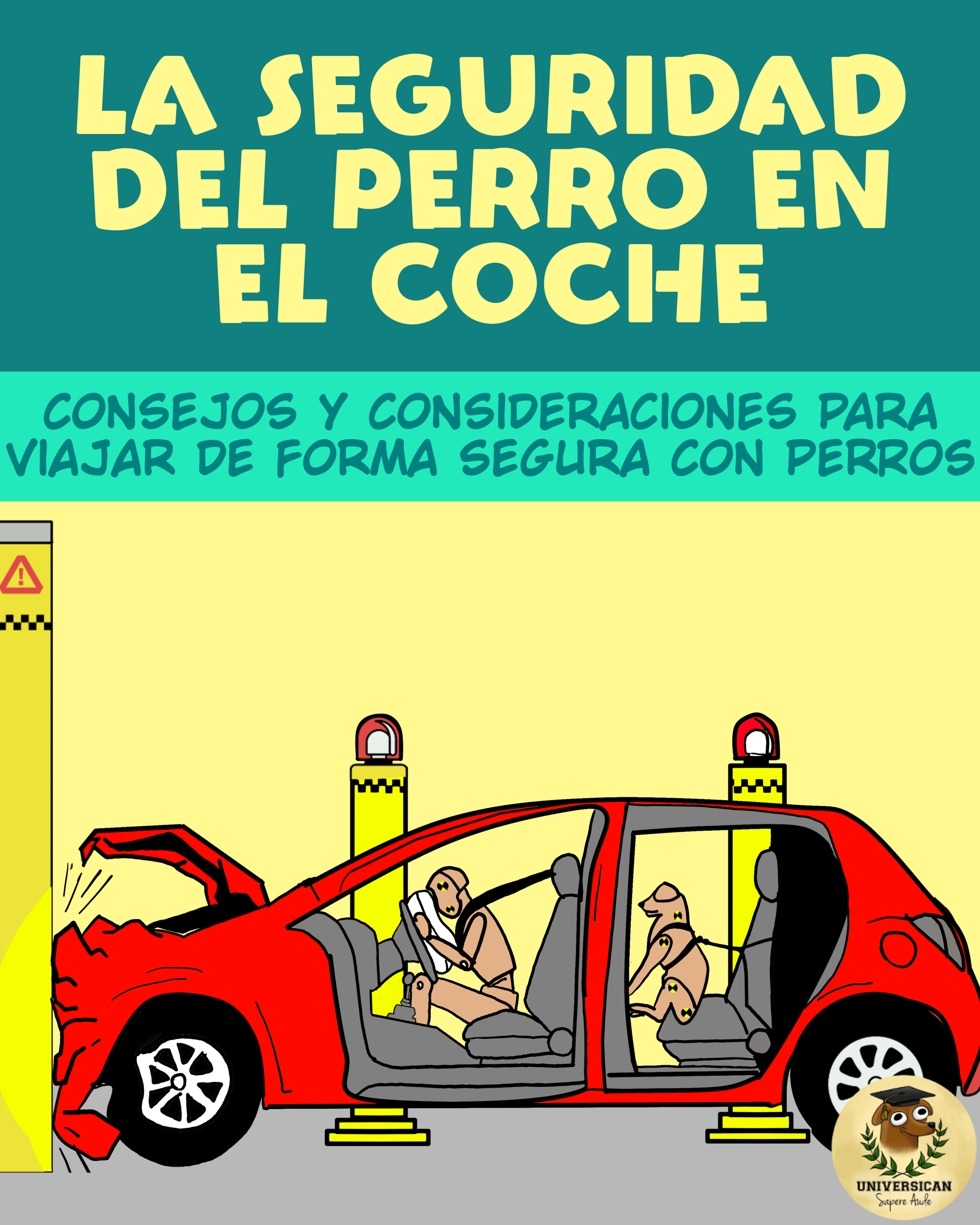 La seguridad del perro en el coche, ilustrada con una imagen de una prueba de choque: un automóvil transporta dos maniquíes, uno humano y otro canino, ambos correctamente sujetos con cinturón de seguridad.