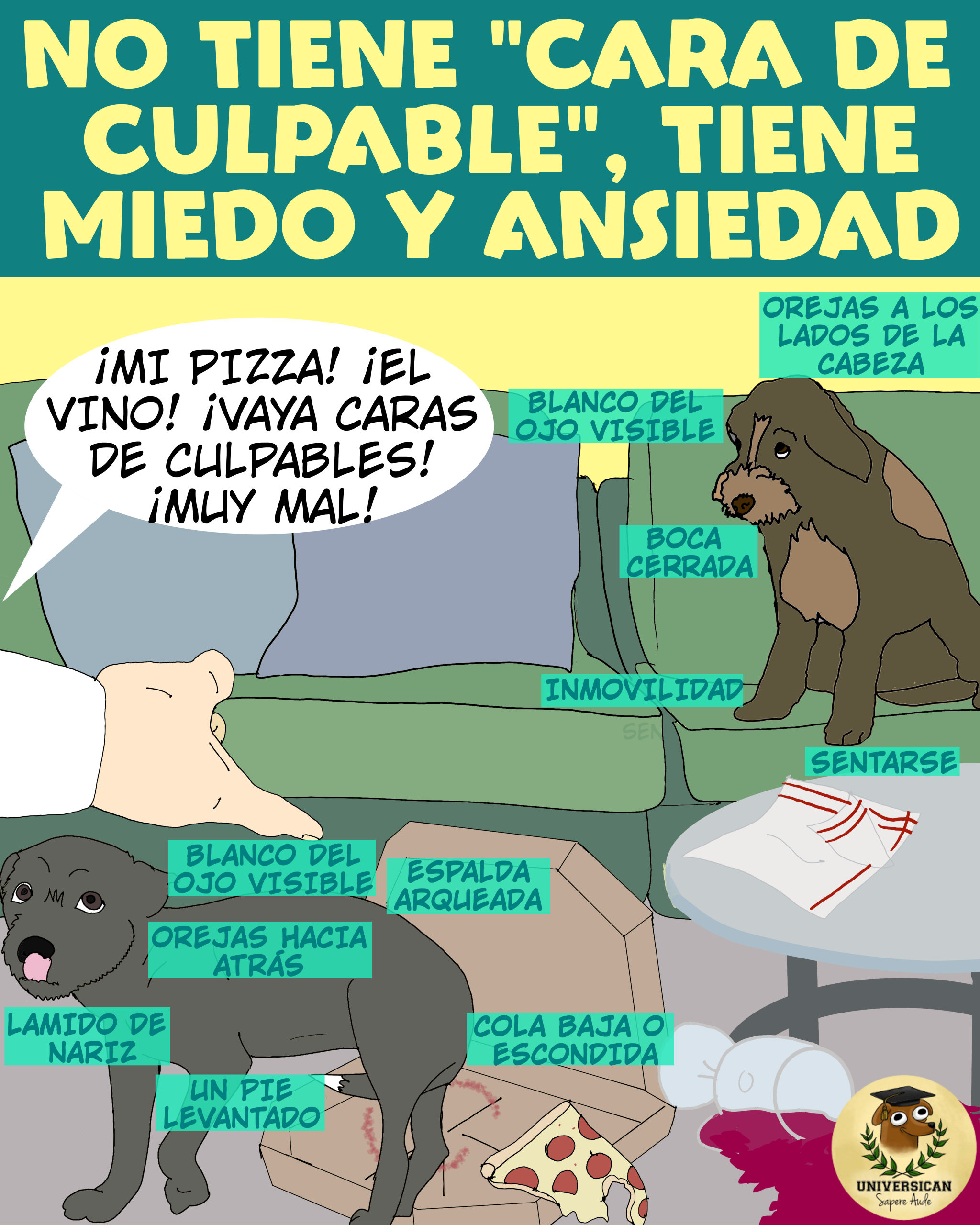 Ilustración de una persona regañando a dos perros visiblemente asustados tras volcar comida de la mesa. El humano afirma que tienen “cara de culpable”, sin notar que en realidad muestran señales de miedo y ansiedad.