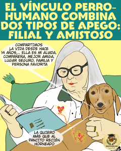 Ilustración de una señora mayor leyendo con su perro de 14 años, ambos canosos, que destaca el vínculo perro-humano como mezcla de apego filial y amistad duradera.