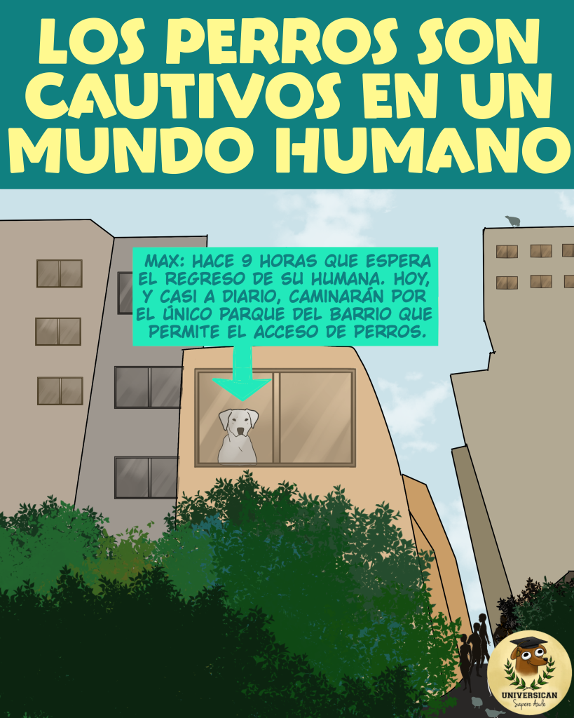 Cautivos Un perro está sentado tras una ventana, mirando hacia fuera. Un recuadro indica que lleva 9 horas esperando a su humana para salir al único parque del barrio que permite perros. La imagen muestra edificios, árboles, personas caminando, el título “Los perros son cautivos en un mundo humano” y el logo de Universican.
