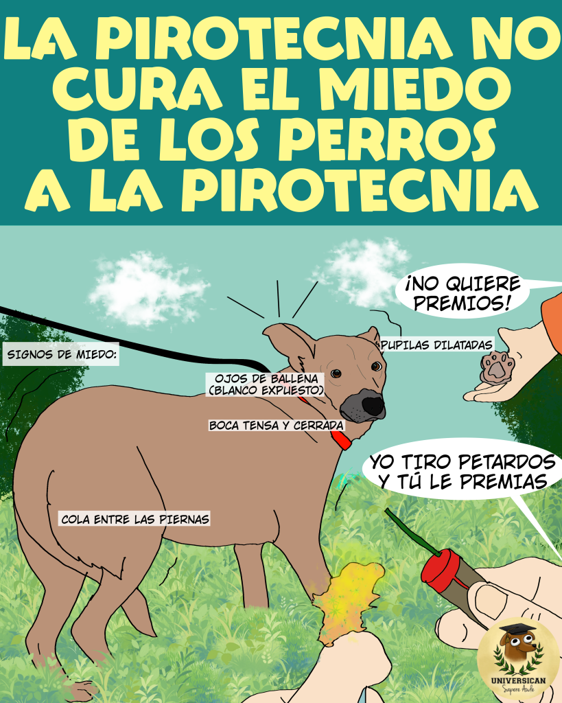 Inundación Dibujo de un perro con correa y aspecto asustado, rodeado por dos personas: una enciende petardos y otra intenta premiarlo. El título indica: "La pirotecnia no cura el miedo de los perros a la pirotecnia".