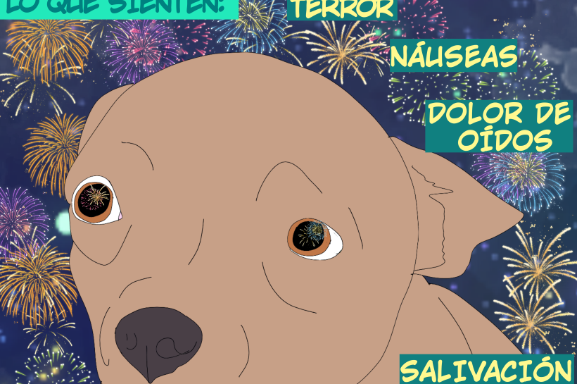 Los perros pueden sentir deseos de huir, dolor, desorientación, salivación excesiva, jadeos, desesperación o incluso náuseas debido a la pirotecnia.