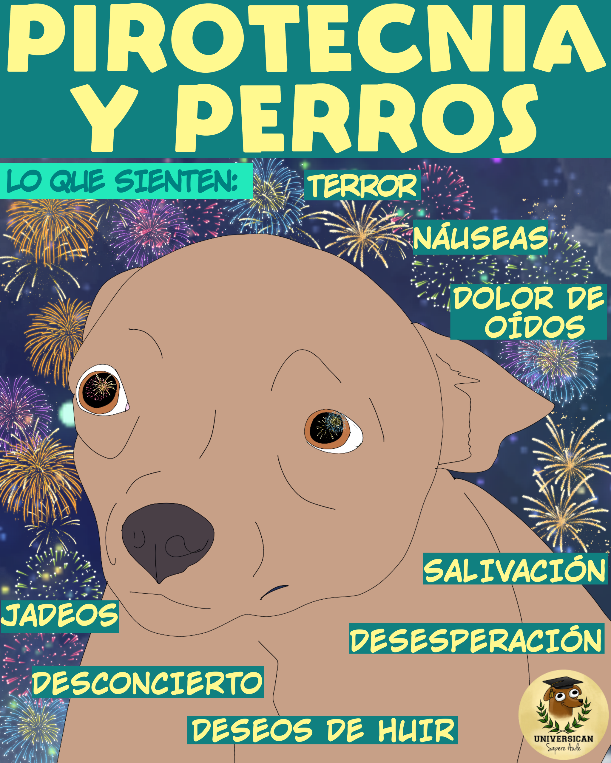 Los perros pueden sentir deseos de huir, dolor, desorientación, salivación excesiva, jadeos, desesperación o incluso náuseas debido a la pirotecnia.