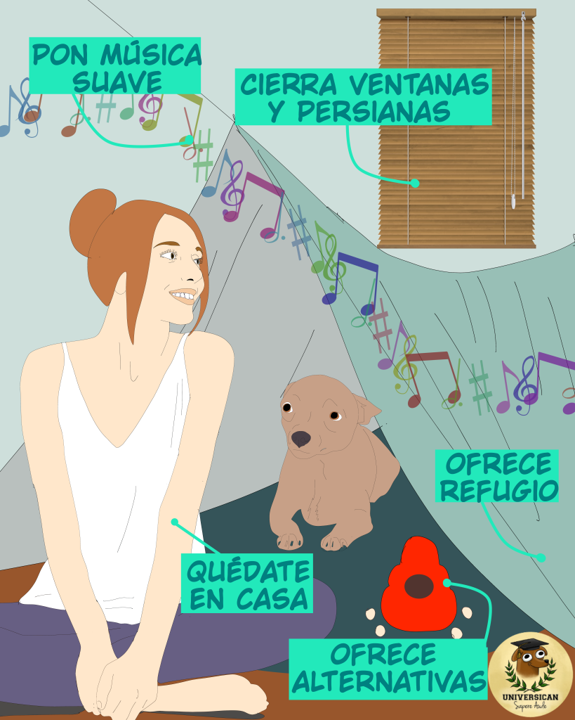 Acompaña con empatía, quédate en casa, pon música suave, ofrece refugio y otras cosas en qué pensar.