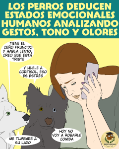 Una mujer habla por teléfono con cara de tristeza, dos perros le observan y notan que huele a cortisol, que habla lento y que parece triste.