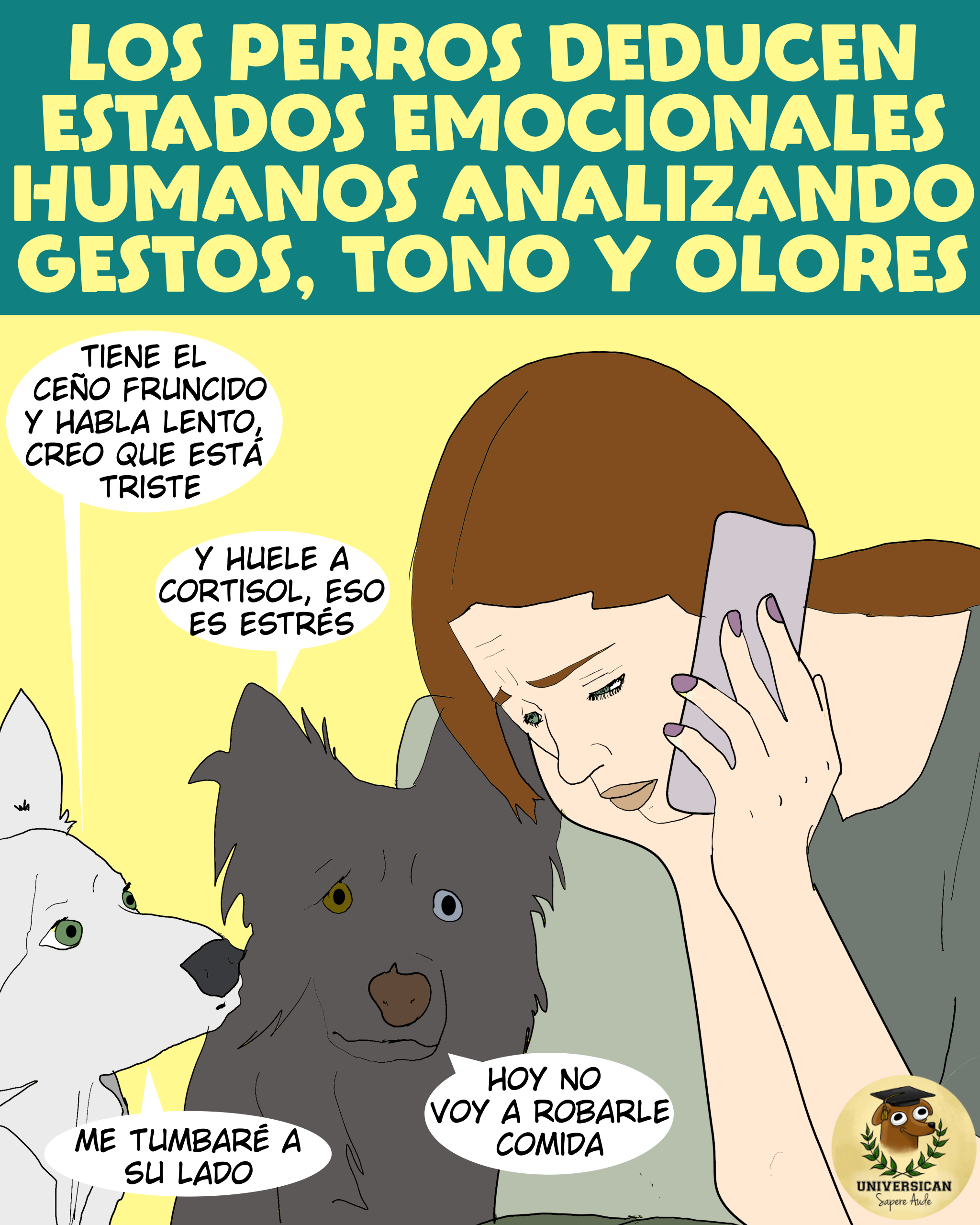 Una mujer habla por teléfono con cara de tristeza, dos perros le observan y notan que huele a cortisol, que habla lento y que parece triste.