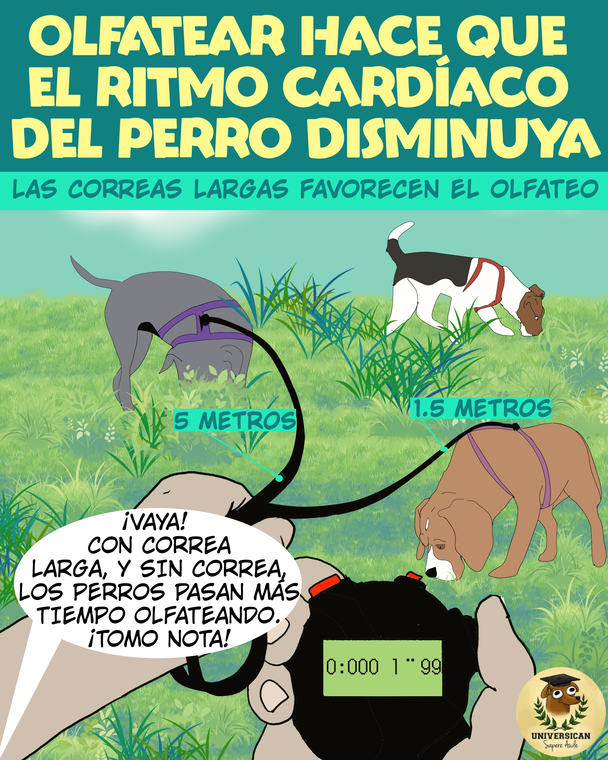 Una persona observa a tres perros durante el paseo: dos llevan correas de distinta longitud y uno va sin correa. Mientras olfatean, registra el tiempo que cada uno dedica a esta actividad y lo relaciona con el tipo de equipación de paseo que utiliza cada perro. Observa que, tanto sin correa como con correa larga, los perros dedican más tiempo a olfatear. Concluye que la libertad de movimiento favorece esta conducta.