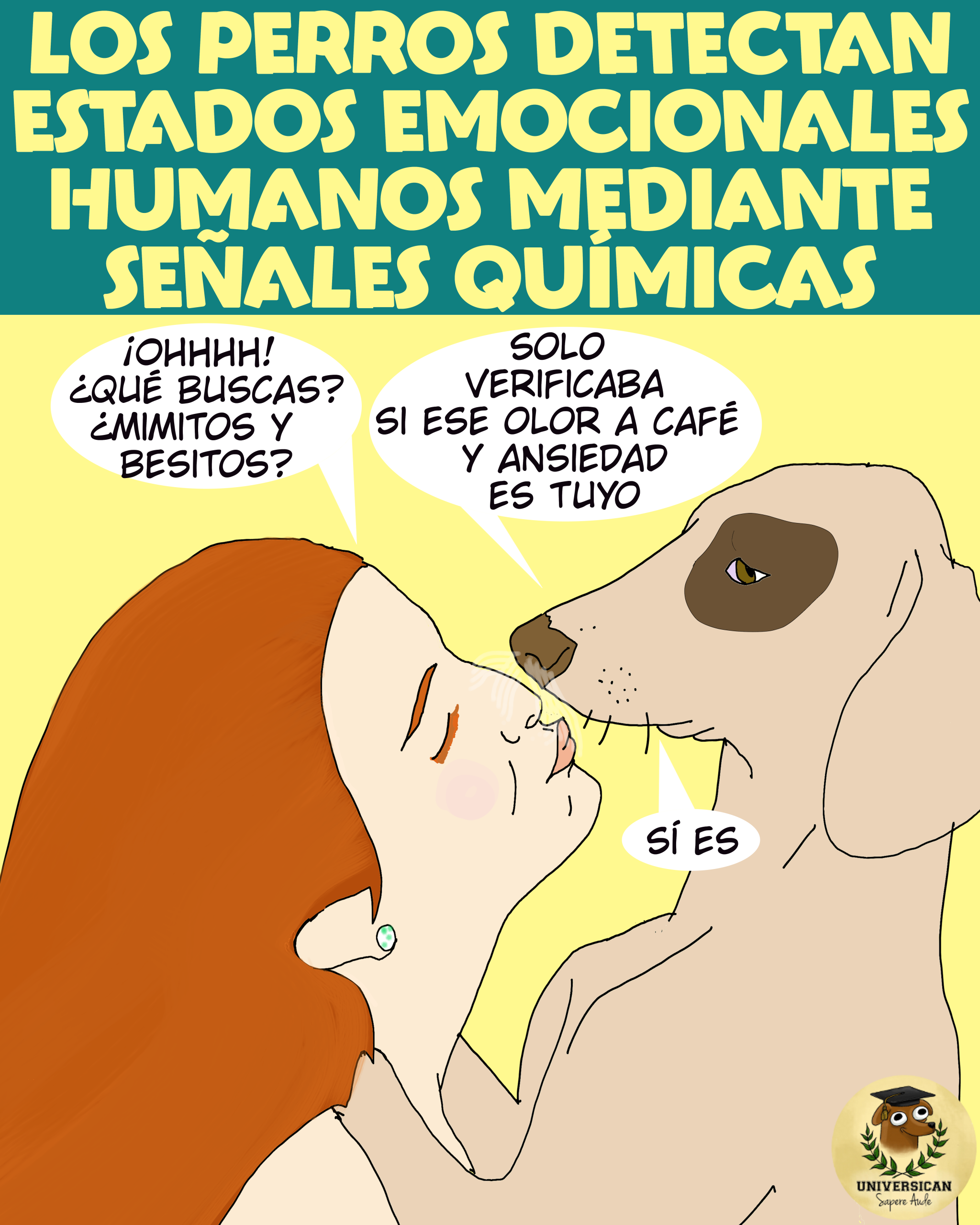 Ilustración mostrando una mujer ofreciendo afecto a un perro, con el pensamiento del perro indicando 'huelo a café y ansiedad', representando la capacidad canina de detectar emociones humanas mediante señales químicas